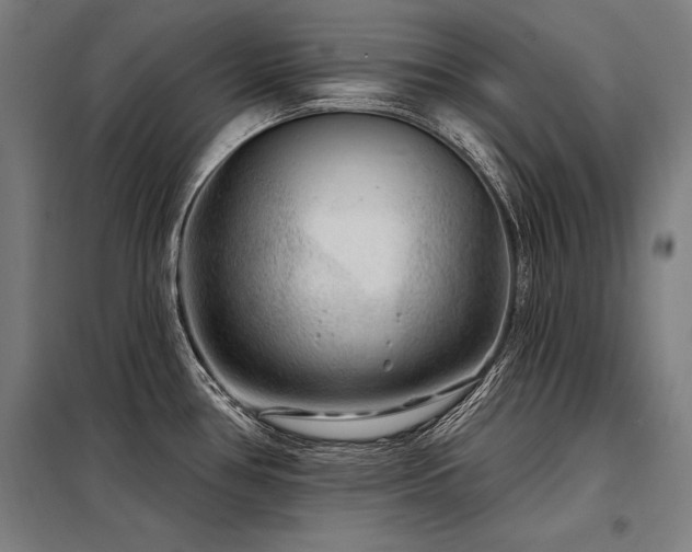 X0000098171386200804241146