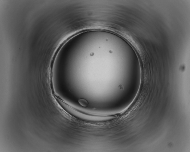 X0000098171388200804241146