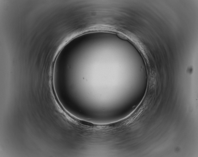 X0000098171390200804241146