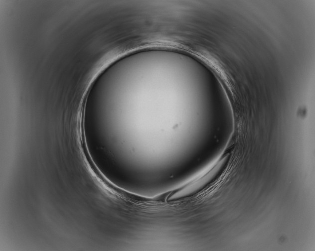 X0000098171391200804241145