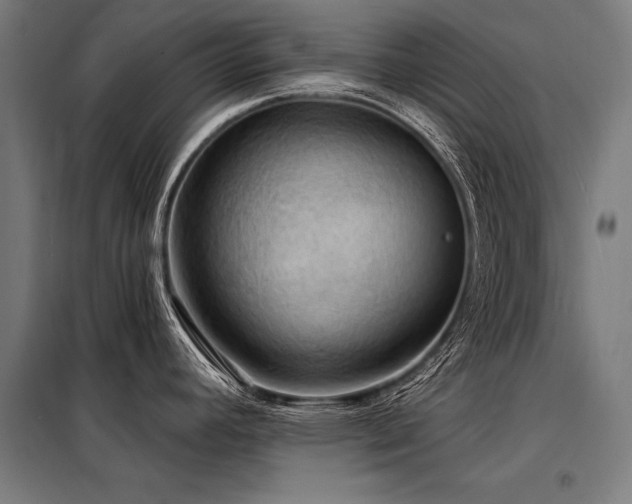 X0000098171392200804241145