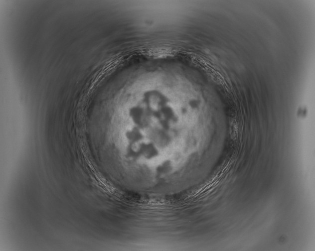 X0000098171393200804241145