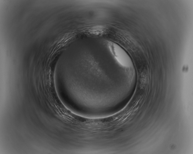X0000098171394200804241145