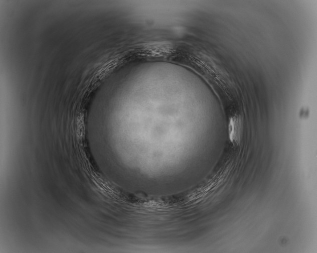 X0000098171395200804241145