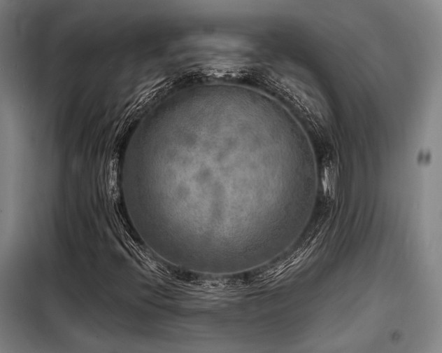 X0000098171396200804241145