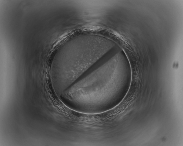 X0000098171397200804241145