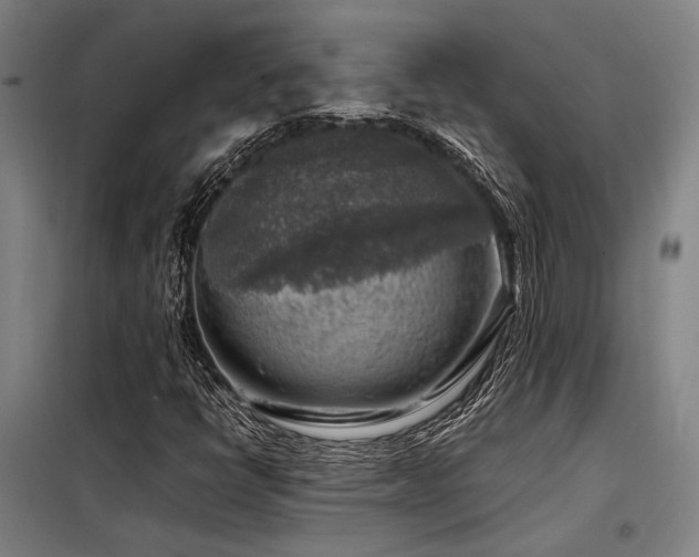 X0000098171398200804241145