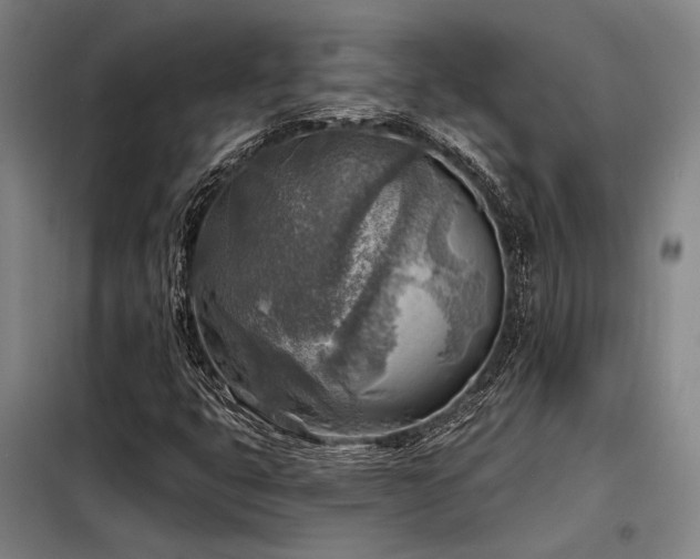 X0000098171399200804241145