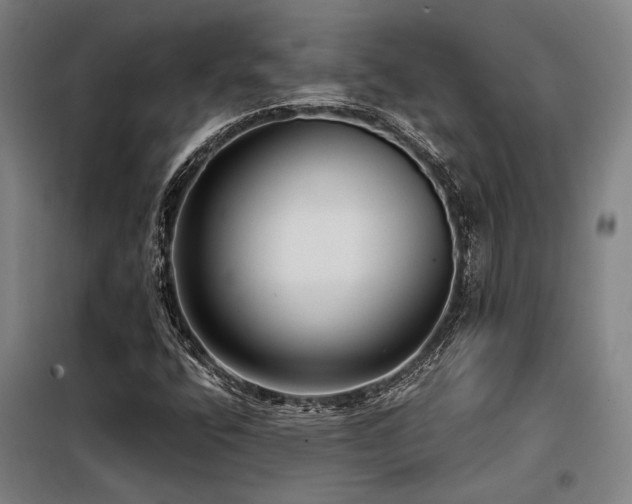 X0000098171400200804241145