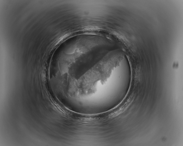 X0000098171401200804241145