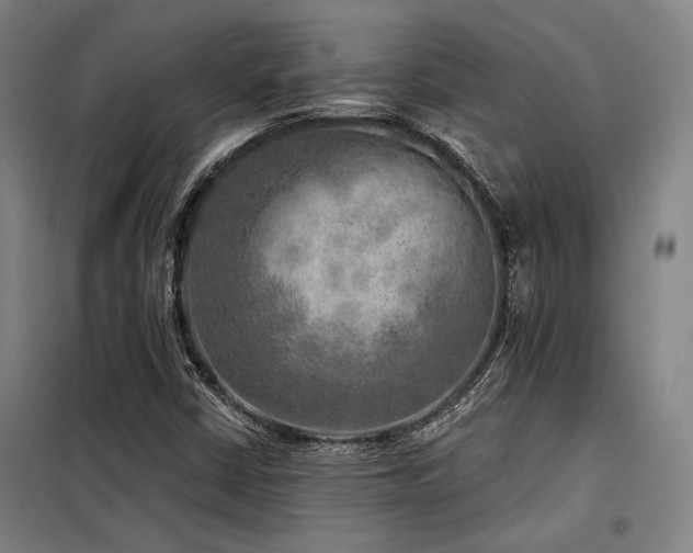 X0000098171402200804241145