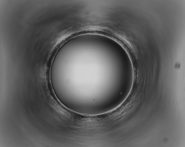 X0000098171404200804241145