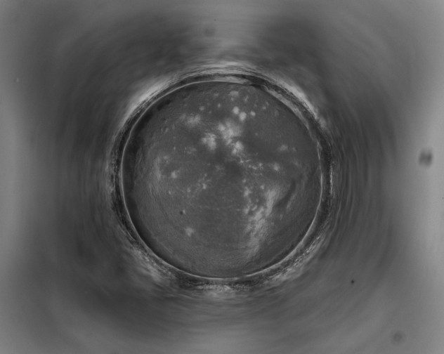 X0000098171405200804241145