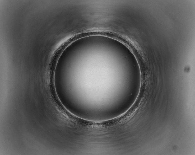 X0000098171406200804241145