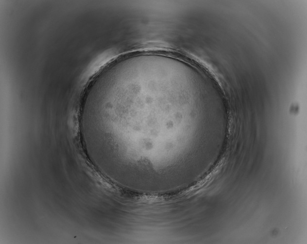 X0000098171407200804241145
