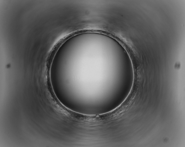 X0000098171408200804241145