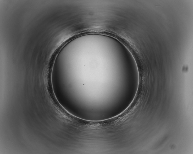 X0000098171410200804241145