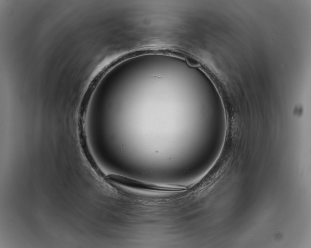 X0000098171412200804241145