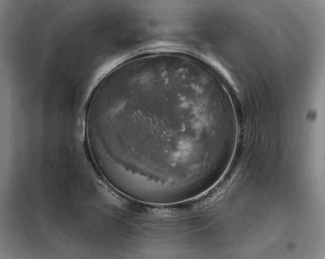 X0000098171413200804241145