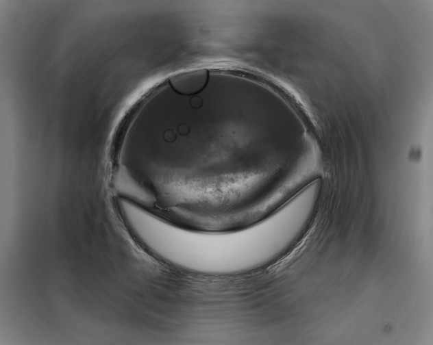 X0000098171414200804241145