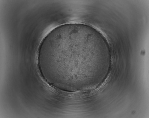 X0000098171415200804241145