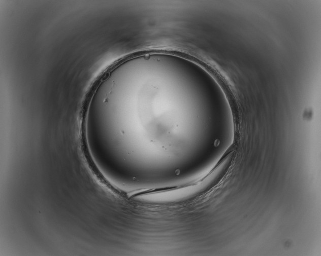 X0000098171416200804241145