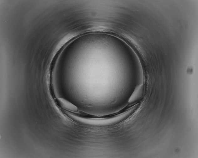 X0000098171418200804241145