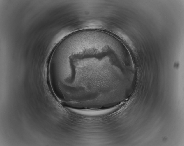X0000098171419200804241145