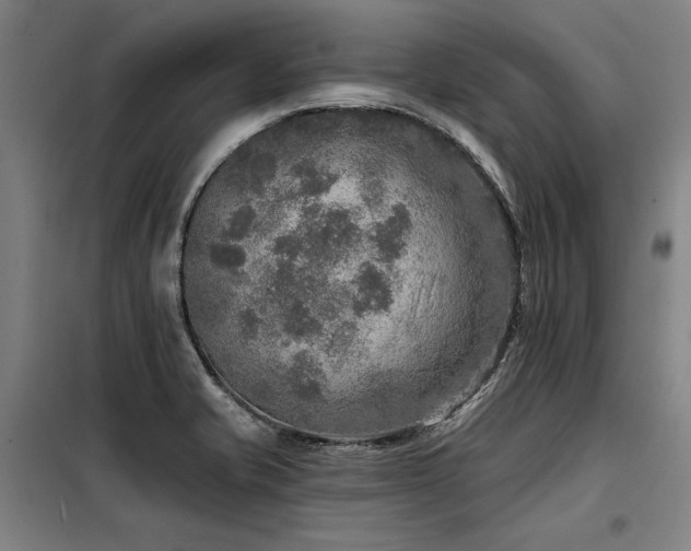 X0000098171421200804241145