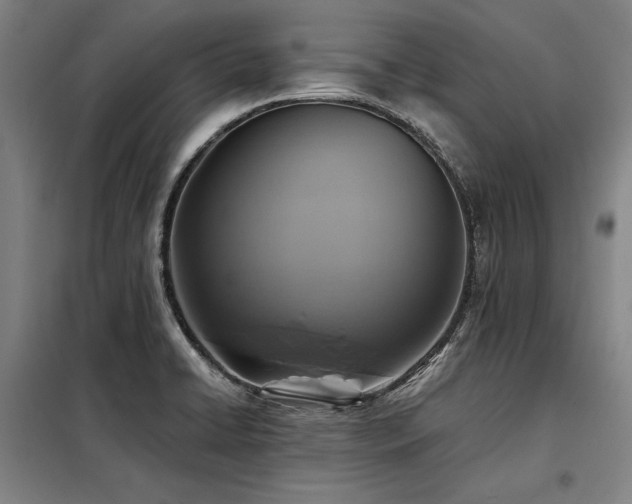 X0000098171422200804241145