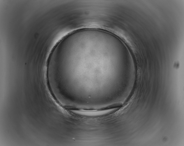 X0000098171424200804241145