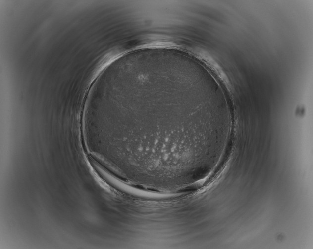 X0000098171425200804241145