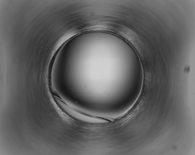 X0000098171426200804241145