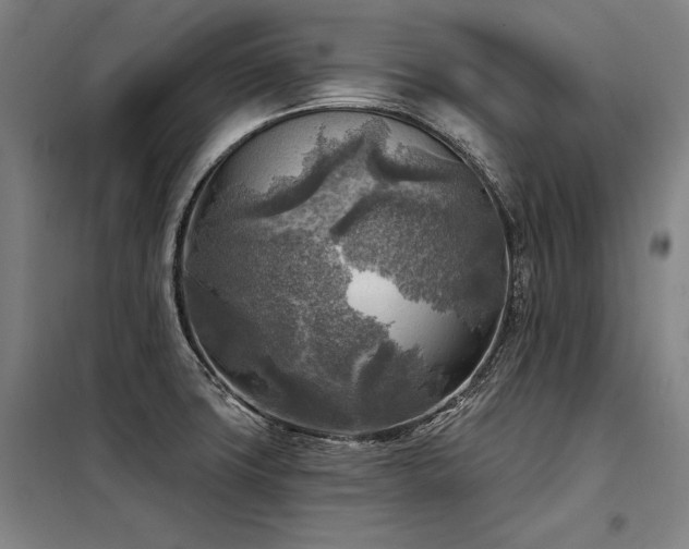 X0000098171427200804241145