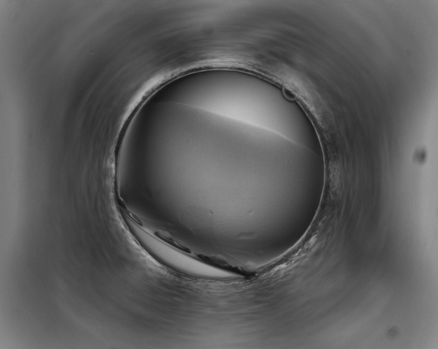 X0000098171428200804241145