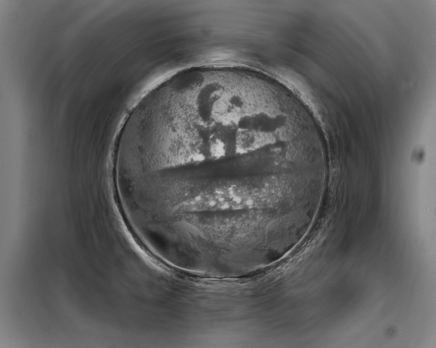 X0000098171429200804241145