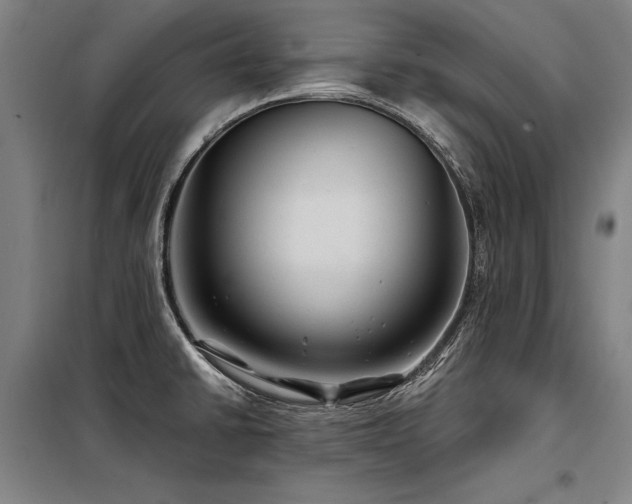X0000098171430200804241145