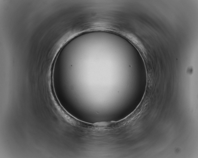 X0000098171431200804241145
