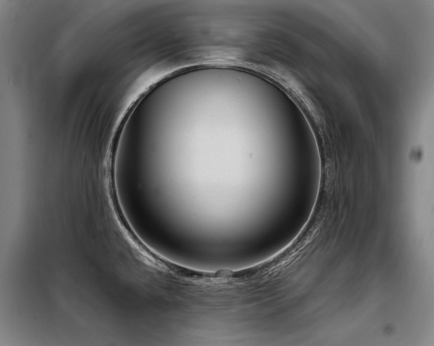 X0000098171432200804241145