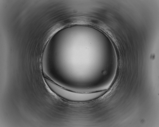 X0000098171433200804241145