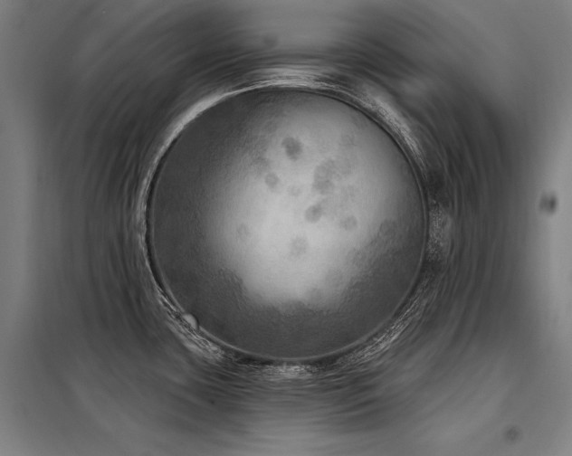 X0000098171435200804241145