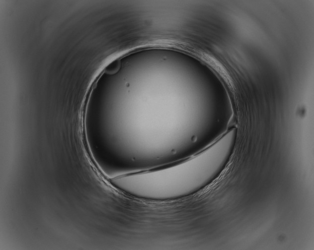 X0000098171436200804241145