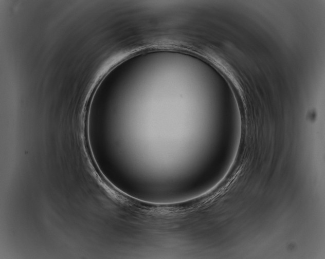X0000098171437200804241145