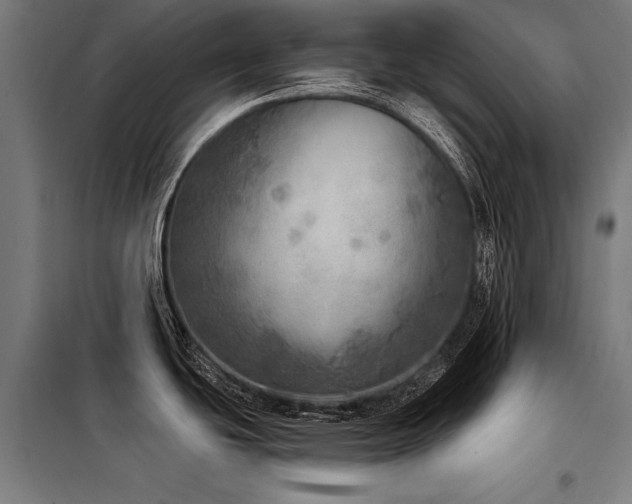 X0000098171439200804241145