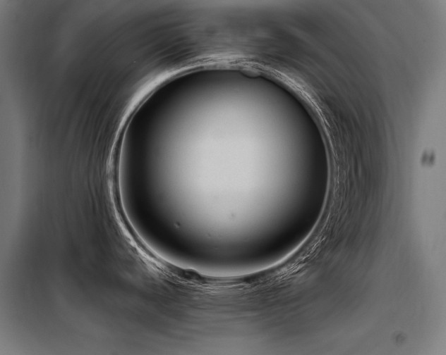 X0000098171440200804241145