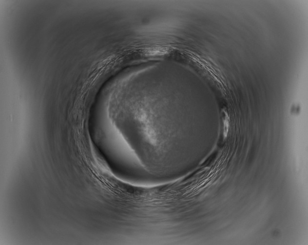 X0000098171441200804241145