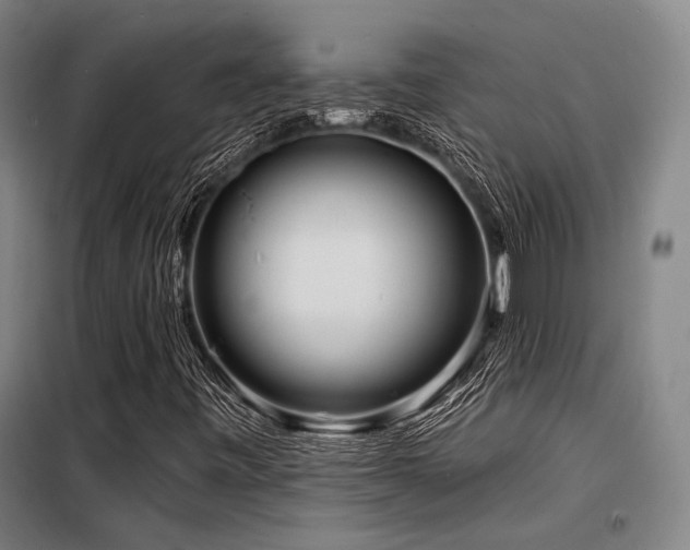 X0000098171443200804241145