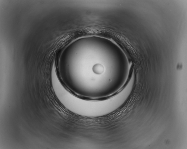 X0000098171444200804241145