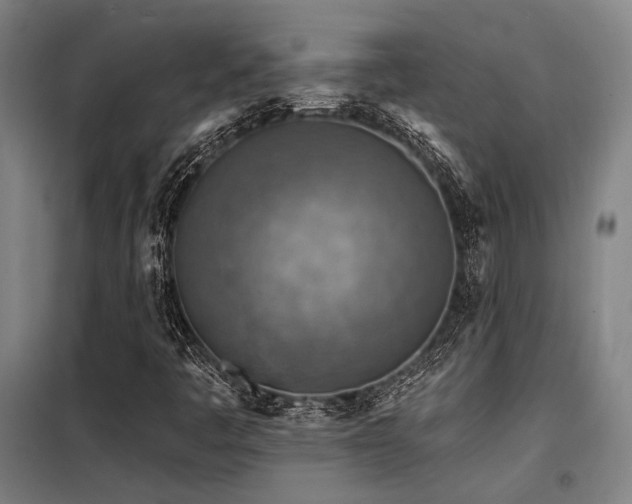 X0000098171445200804241145