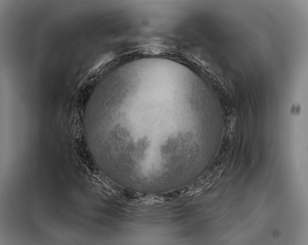 X0000098171446200804241145